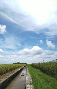 Scenic view of landscape against sky