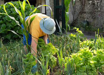 Old woman in the garden