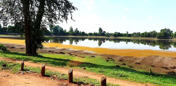 Scenic view of lake by trees on field against sky