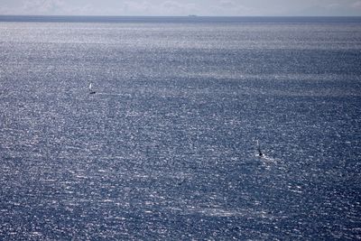High angle view of boating in calm sea