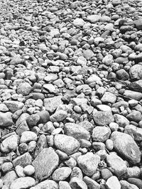 Full frame shot of stone wall