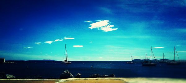 Boats in harbor