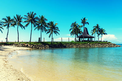 Palm trees on beach against clear blue sky