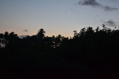 Silhouette trees against sky during sunset