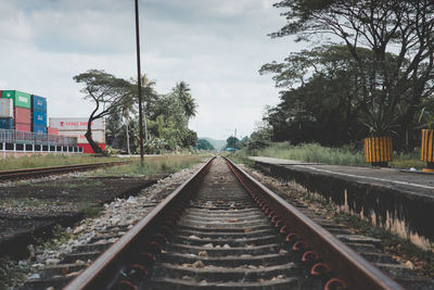 Surface level of railroad tracks against trees