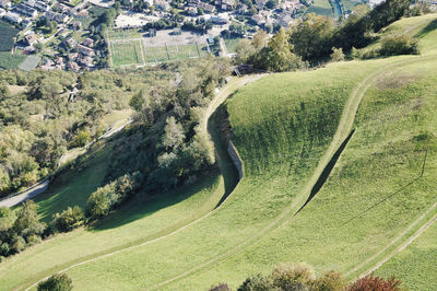 High angle view of road amidst trees on field