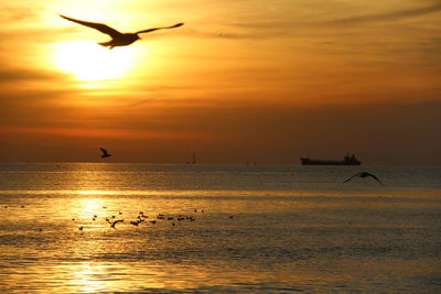 Silhouette birds flying over sea against orange sky