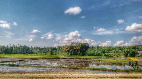 Scenic view of landscape against cloudy sky