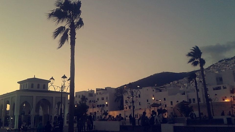 VIEW OF PALM TREES IN CITY