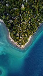 Aerial view of island in sea