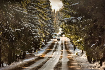 Winter mountain road landscape in romania