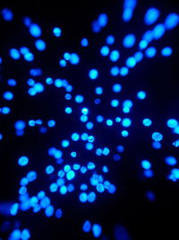 Defocused image of illuminated light bulb