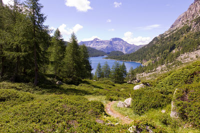 Scenic view of trees and mountains against sky