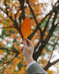 Midsection of person holding autumn leaves