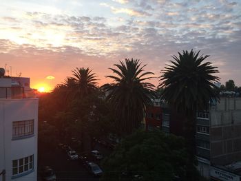 Palm trees and buildings against sky at sunset