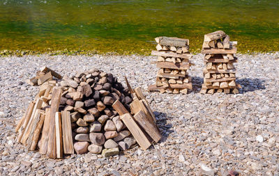 Stack of logs in forest