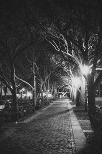 Road amidst bare trees at night