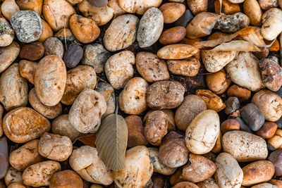 Full frame shot of pebbles
