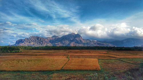 Scenic view of field against sky