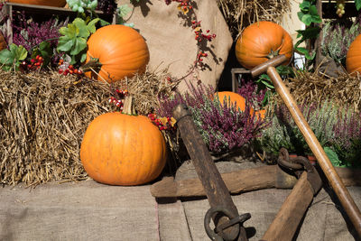 Pumpkins on table during autumn