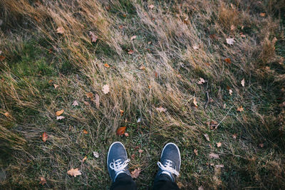 Low section of man standing on field