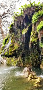 Scenic view of waterfall in forest against sky