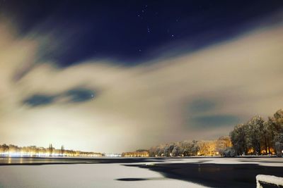 View of illuminated trees at night