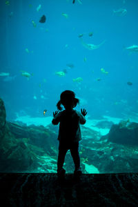 Rear view of silhouette man standing in aquarium