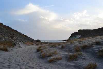 Scenic view of beach against sky