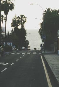 Road with trees in background