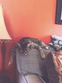 Close-up of cat relaxing on bed at home