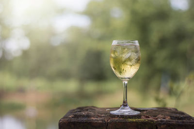 Close-up of wineglass on table