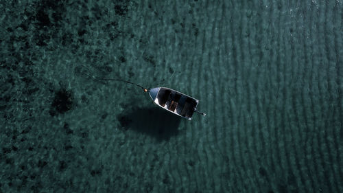 High angle view of turtle in sea