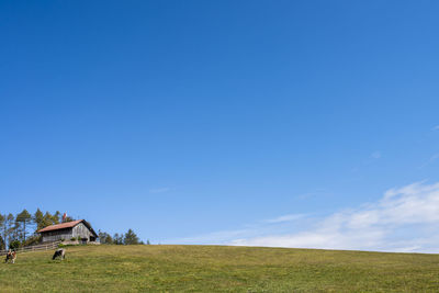 Scenic view of landscape against blue sky