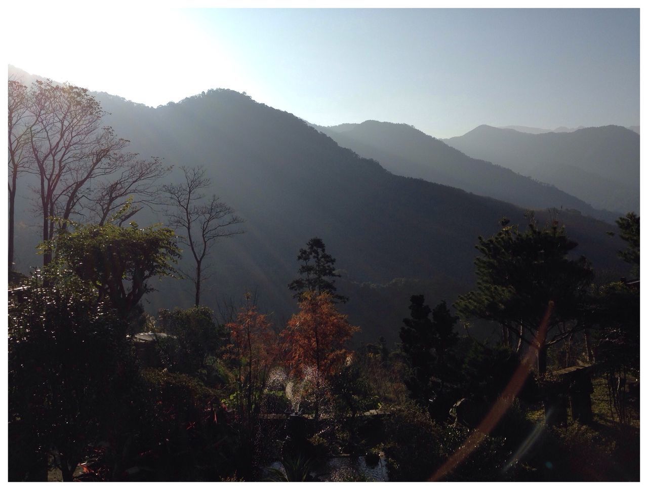 mountain, transfer print, tree, mountain range, tranquility, tranquil scene, auto post production filter, scenics, beauty in nature, landscape, sky, nature, clear sky, growth, non-urban scene, transportation, outdoors, road, sunlight