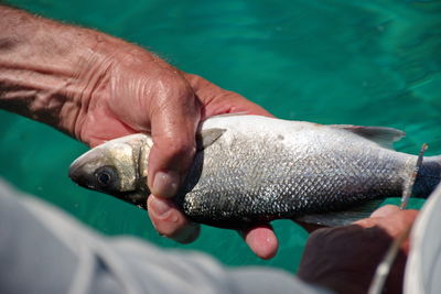 Closeup of hands holding and cleaning fish against turquoise sea