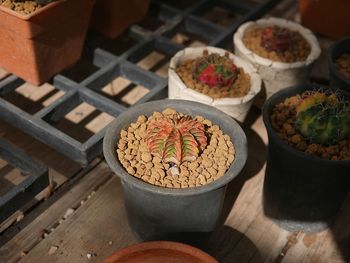 Close-up of food on table