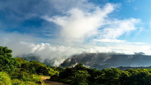 Panoramic view of trees on land against sky