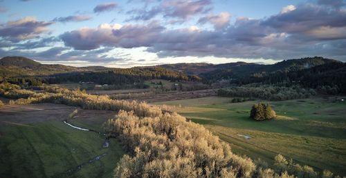 Scenic view of agricultural field against sky