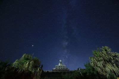 Low angle view of trees against star field at night