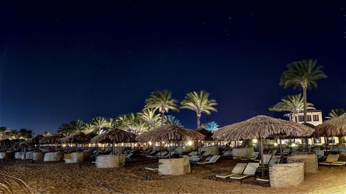 Palm trees on beach against sky at night