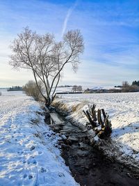 Bare tree on snow covered field against sky