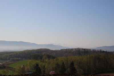 Scenic view of landscape against clear sky