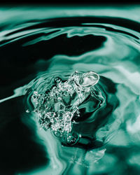 Close-up of water drop