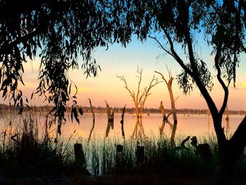 Reflection of trees in sea at sunset