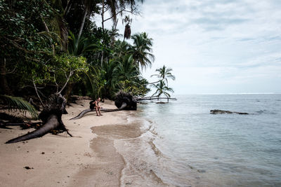 Scenic view of person on beach against sky