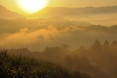 Scenic view of landscape against sky during sunset