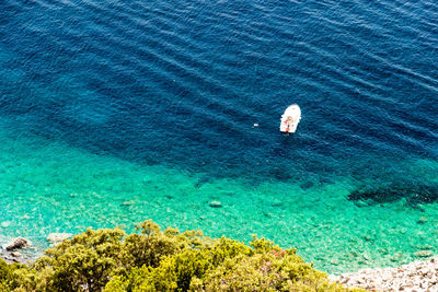 High angle view of people on sea shore