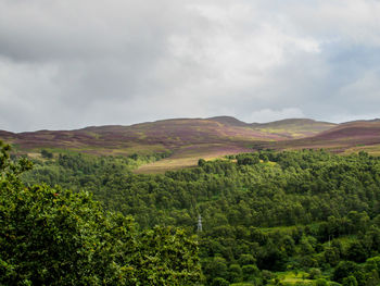 Scenic view of landscape against cloudy sky