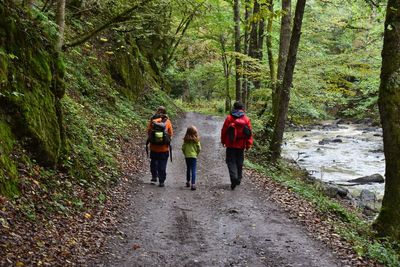 Rear view of people walking in forest